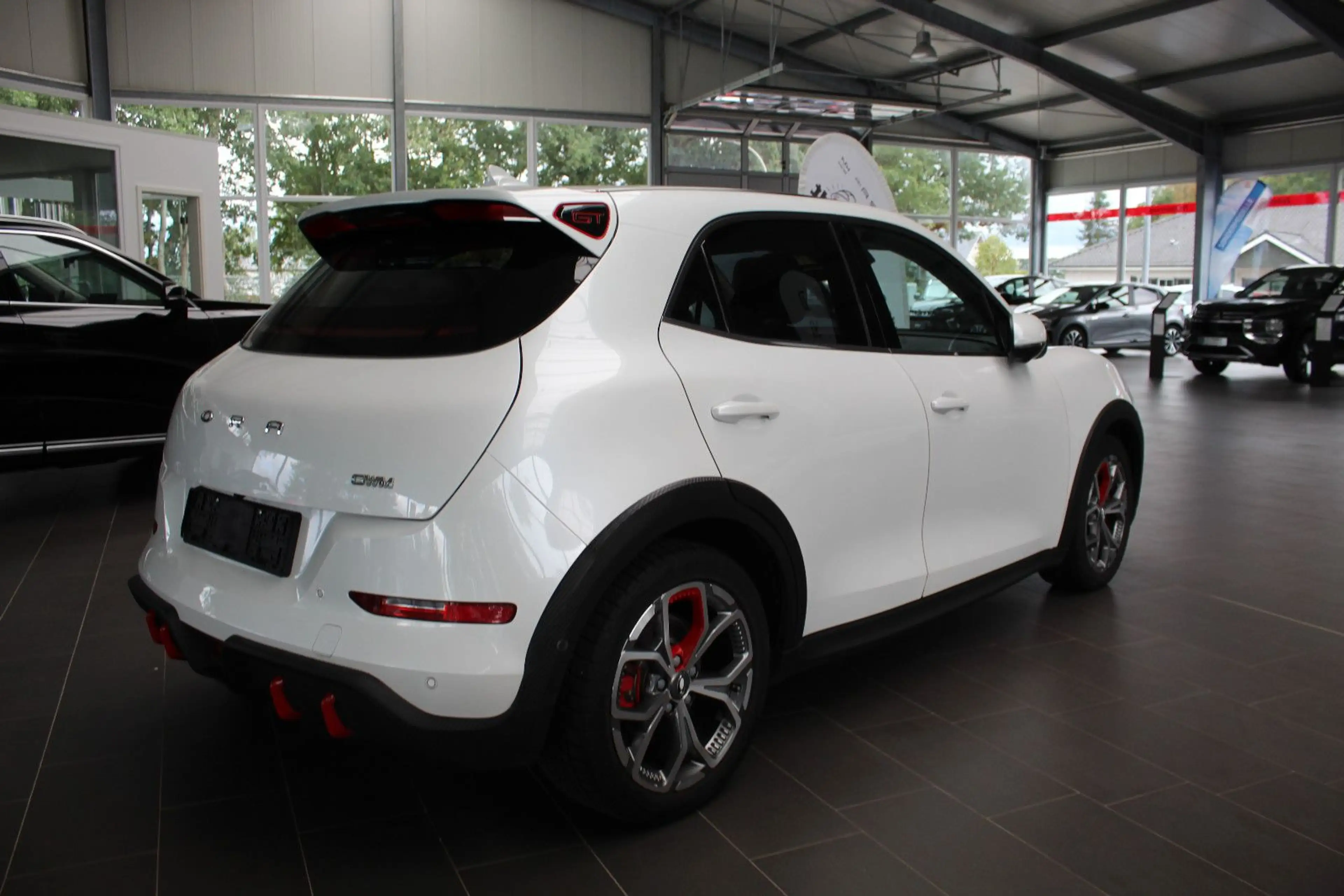 GWM ORA 03 GT — photo 4