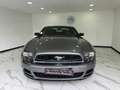 Ford Mustang Ford Mustang 3.7 V6 Gris - thumbnail 3
