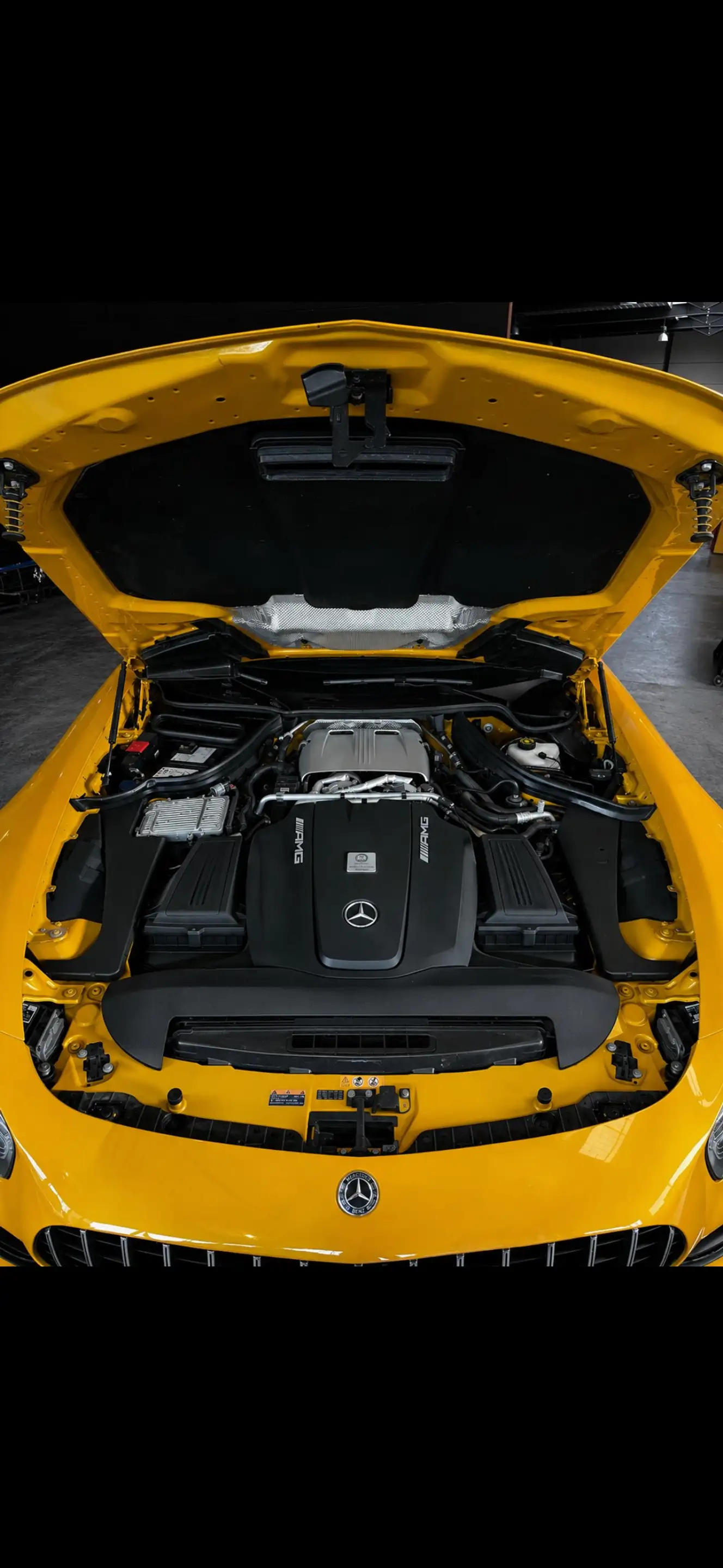 Mercedes-Benz AMG GT AMG GT 4.0 V8 BiTurbo (EU6d-TEMP) — photo 11