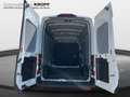 Ford Transit Kasten 2.0 TDCi 350 L3 Trend ACC+Navi Wit - thumbnail 6