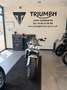 Triumph - thumbnail 1