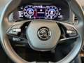 Skoda Karoq DSG AHK KAMERA NAVI LED ACC VIRTUAL LHZ Gris - thumbnail 6