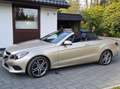 Mercedes-Benz E 250 E-Klasse Cabrio Cabrio 7G-TRONIC Argintiu - thumbnail 2