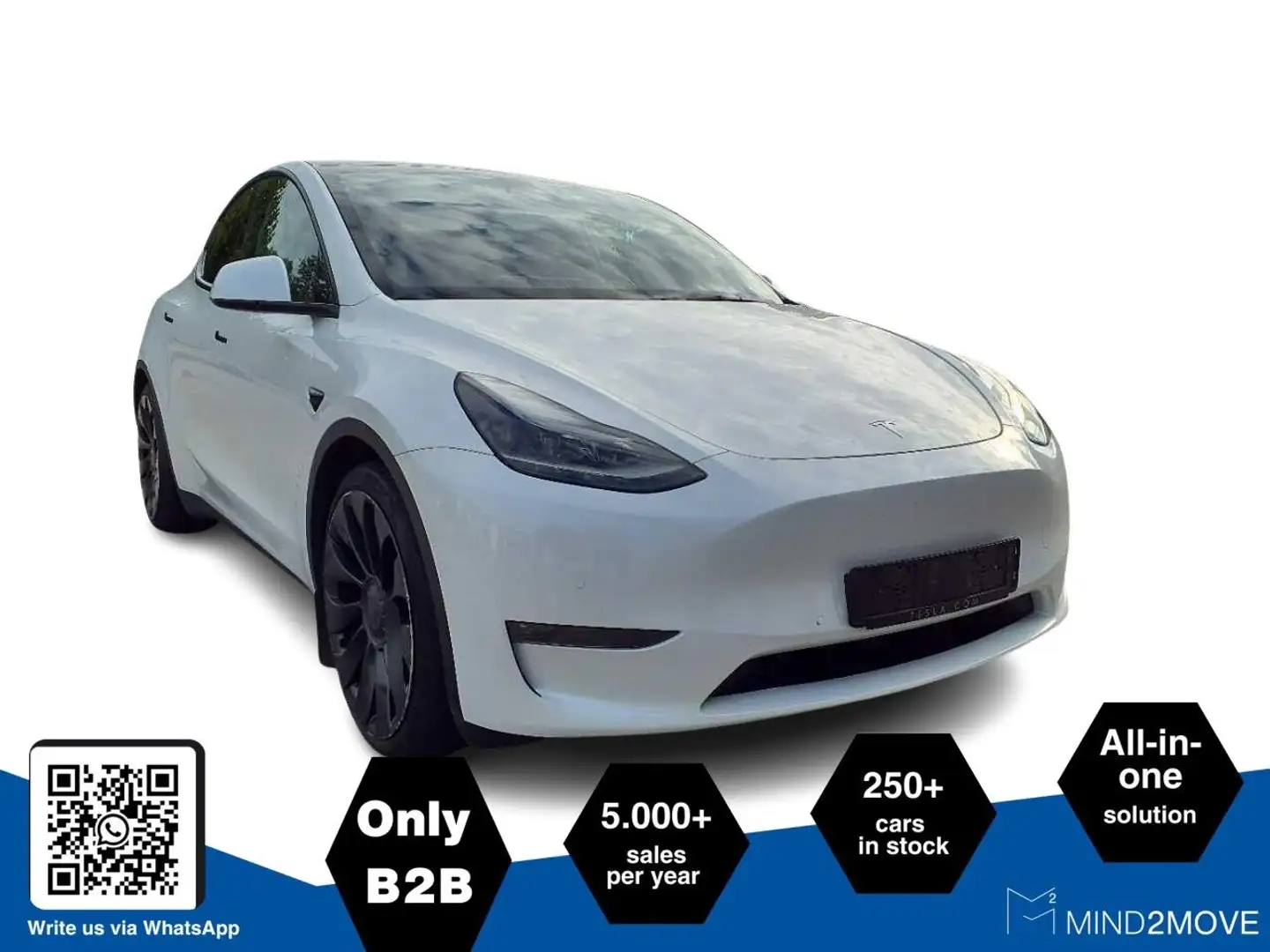 Tesla Model Y Dual Performance Dual AWD Weiß - 1