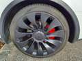 Tesla Model Y Dual Performance Dual AWD Weiß - thumbnail 15