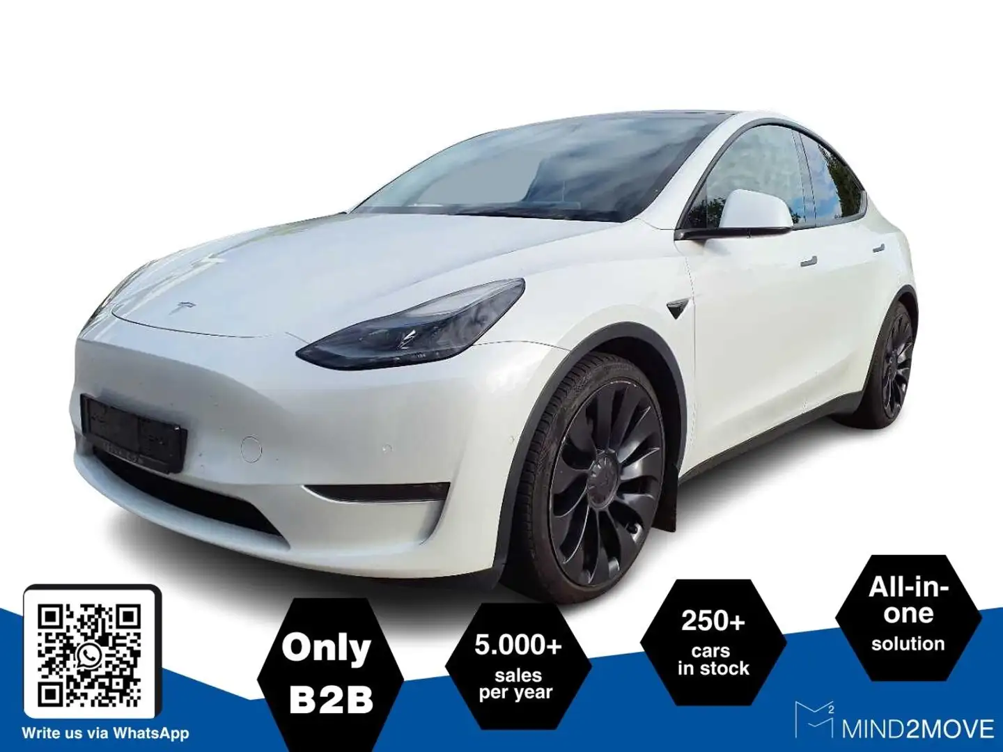 Tesla Model Y Dual Performance Dual AWD Weiß - 2