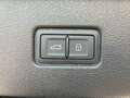 Audi Q7 55 TFSI e quattro S line 290 kW Grau - thumbnail 14