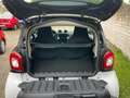 smart forTwo smart fortwo coupe Weiß - thumbnail 6