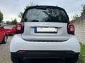 smart forTwo smart fortwo coupe Weiß - thumbnail 5