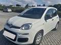Fiat Panda 0.9 fiat panda - thumbnail 2