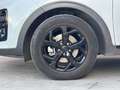 Kia Sportage 1.6 MHEV Black Edition 4x2 136 Blanco - thumbnail 14