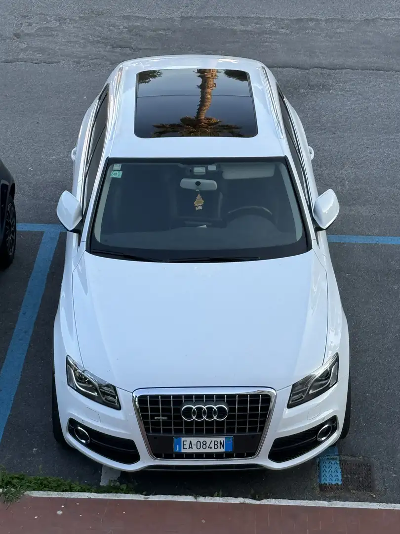 Audi Q5 Audi q5 2.0 tdi quattro 143cv dpf Alb - 1