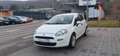 Fiat Punto Pop*TÜV-NEU*KLIMA*SEHR GEPFLEGT* - thumbnail 3