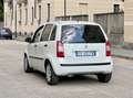 Fiat Idea 1.4 16v 95cv 6Marce Euro5 Active 1 PROPRIETARIO-KM CERTIFICATI-GARANZIA EUROPA-VETRI OSCURATI-CITY-SEDILI POST SCORREVOLI Weiß - thumbnail 8