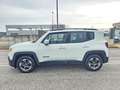 Jeep Renegade 1.6 Mjt 105 CV Business Sport Utility AUTOVETTUR Blanc - thumbnail 10