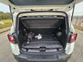 Jeep Renegade 1.6 Mjt 105 CV Business Sport Utility AUTOVETTUR Blanc - thumbnail 8
