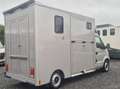 Renault Master Master - Paardencamionette/camion pour chevaux Gris - thumbnail 4
