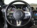 Ford Mustang Fastback 5.0 Ti-VCT GT Aut. Gris - thumbnail 12