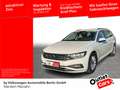 Volkswagen Passat Variant 2.0 TDI Business Navi LED SHZ ACC Bianco - thumbnail 1