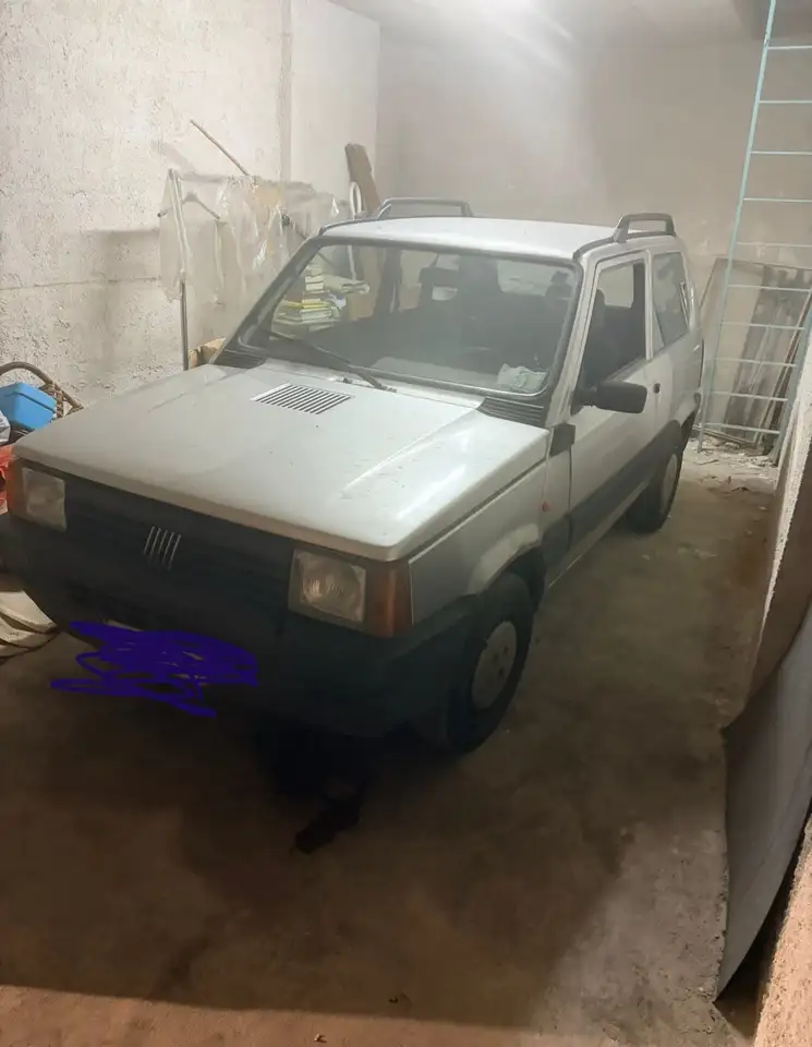 Fiat New Panda Panda Serie 1 Selecta, foto 2