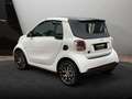 smart forTwo EQ 60kWed prime SHZ PDC+Kamera Ambiente Blanc - thumbnail 9