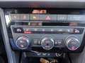 SEAT Ateca Xcellence 2.0 TDI DSG 4Drive Grau - thumbnail 12