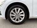 Skoda Superb Kombi 2,0 TDI Style DSG Matrix-Virtual-ACC Weiß - thumbnail 8