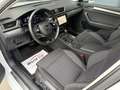 Skoda Superb Kombi 2,0 TDI Style DSG Matrix-Virtual-ACC Weiß - thumbnail 13