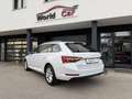 Skoda Superb Kombi 2,0 TDI Style DSG Matrix-Virtual-ACC Weiß - thumbnail 9