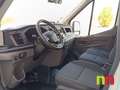 Ford Transit 2.0 EcoBlue 130cv Blanco - thumbnail 9