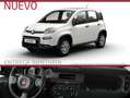Fiat Panda Hybrid 1.0 51kw (70CV) Blanc - thumbnail 1