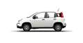 Fiat Panda Hybrid 1.0 51kw (70CV) Blanc - thumbnail 3