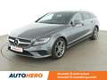 Mercedes-Benz CLS 250 CLS 250 d Shooting Brake BlueTEC Gris - thumbnail 1