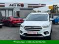Ford Kuga Trend WENIG-KM Weiß - thumbnail 10