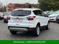 Ford Kuga Trend WENIG-KM Weiß - thumbnail 6