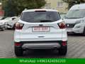Ford Kuga Trend WENIG-KM Weiß - thumbnail 5