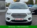Ford Kuga Trend WENIG-KM Weiß - thumbnail 9
