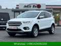 Ford Kuga Trend WENIG-KM Weiß - thumbnail 1