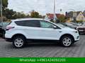 Ford Kuga Trend WENIG-KM Weiß - thumbnail 7