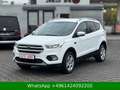 Ford Kuga Trend WENIG-KM Weiß - thumbnail 2