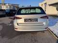 Skoda Octavia 4x4 Ambition TDI DSG Silber - thumbnail 5