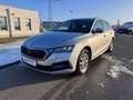 Skoda Octavia 4x4 Ambition TDI DSG Silber - thumbnail 1