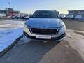 Skoda Octavia 4x4 Ambition TDI DSG Silber - thumbnail 2