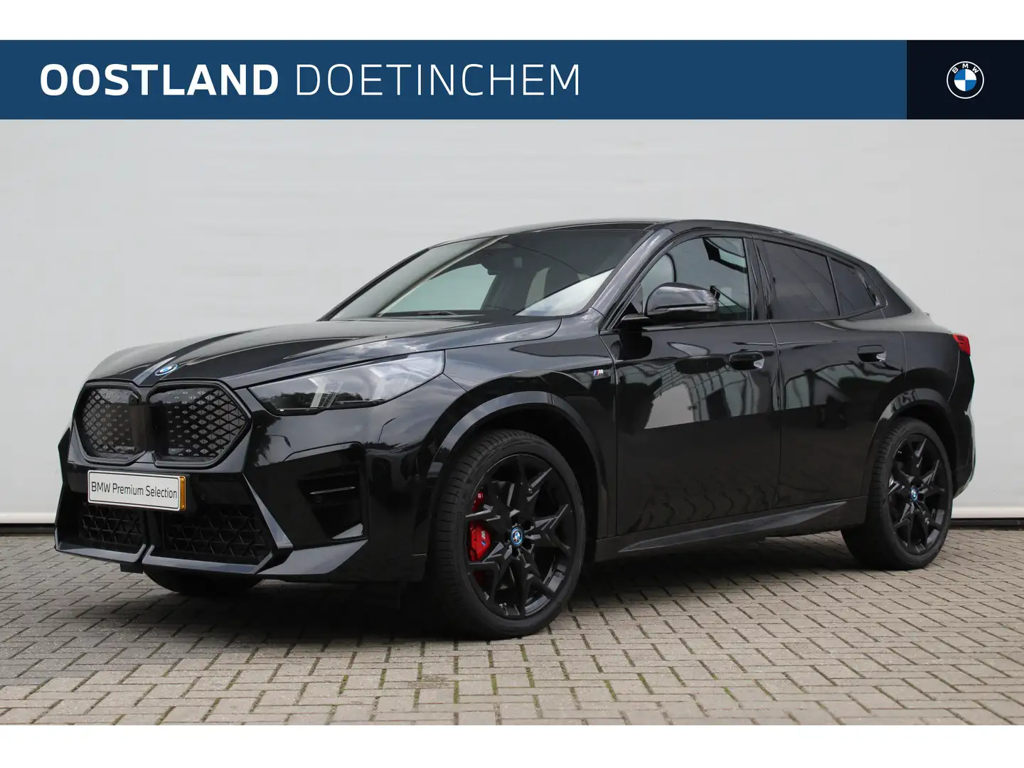 BMW iX2 eDrive20 High Executive M Sport / Panoramadak / Tr Zwart - 1