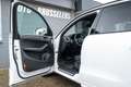 Audi SQ5 3.0 TDI V6 quattro Pro S-Line Zeer complete uitvoe Wit - thumbnail 14