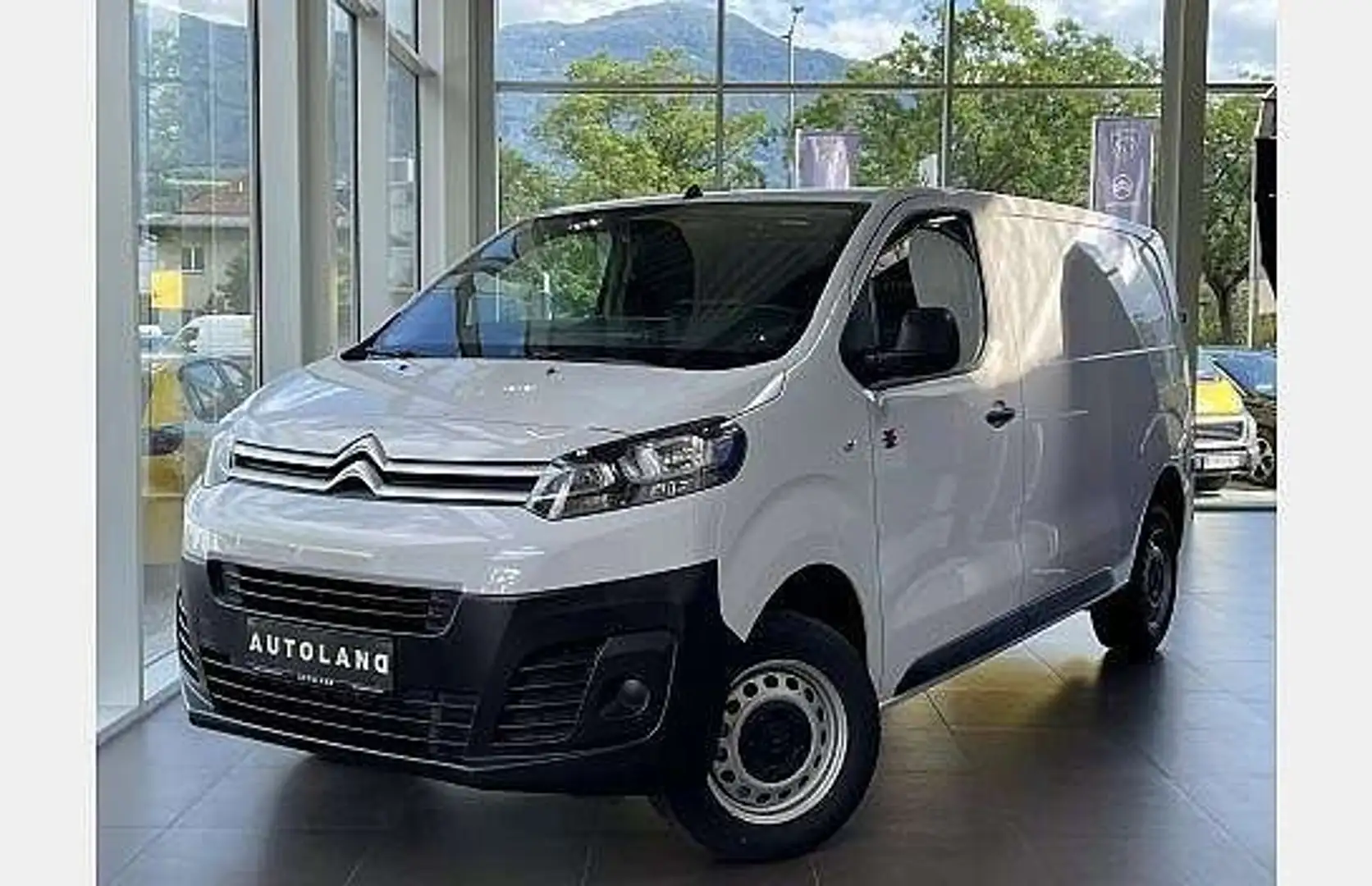 Citroen Jumpy DANGEL 4X4 M / ALLRAD Weiß - 1