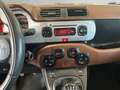 Fiat Panda 4x4 1,3 Multijet II 95 4x4 Cross Weiß - thumbnail 11