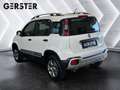 Fiat Panda 4x4 1,3 Multijet II 95 4x4 Cross Weiß - thumbnail 4