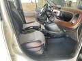 Fiat Panda 4x4 1,3 Multijet II 95 4x4 Cross Weiß - thumbnail 18