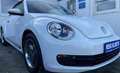 Volkswagen Beetle Cabriolet 1.2 TSI BMT Sitzheizung/Tempomat TOP! White - thumbnail 1